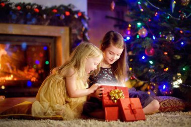 Mutlu kardeşler Noel hediyesi açma 