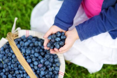 yaban mersini holding childs eller