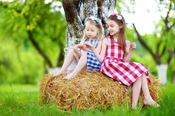 Twee zusjes, zittend op een hooiberg — Stockfoto