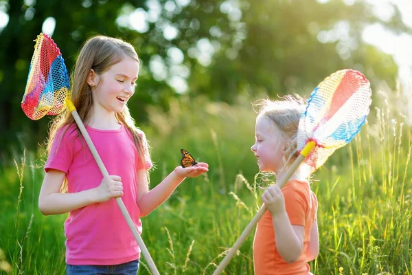 Two sisters catching butterflies — Stock Photo, Image
