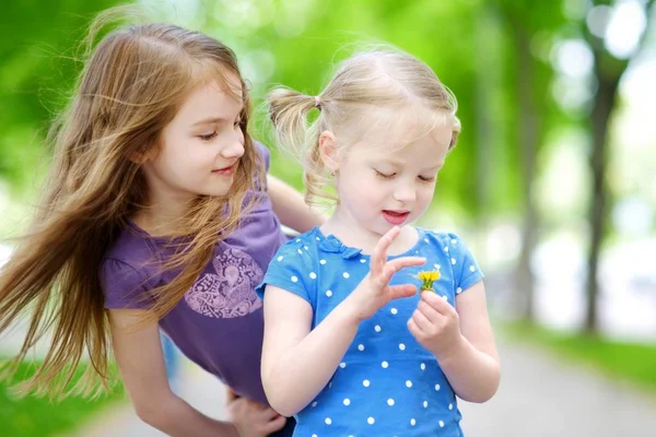 Zwei entzückende kleine Schwestern lachen — Stockfoto