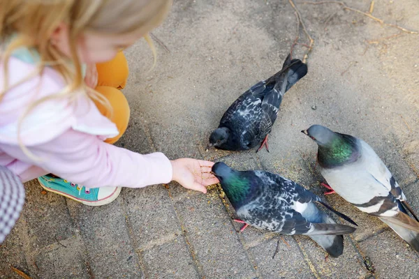 Adorável menina alimentando pombos — Fotografia de Stock