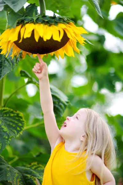 Nettes Mädchen greift nach Sonnenblume — Stockfoto