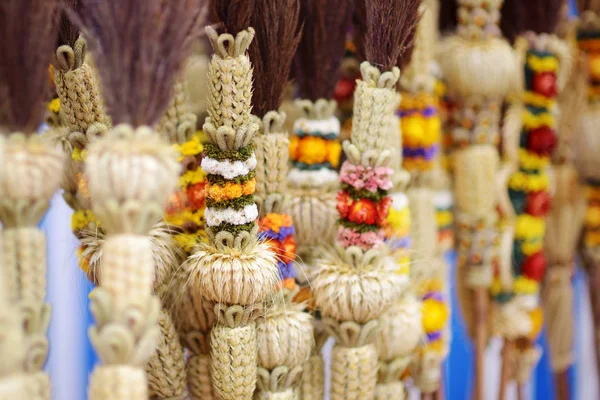 Palma de Pascua conocida como verbos — Foto de Stock