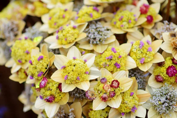 Osterpalme als Verbos bekannt — Stockfoto