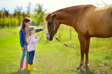 İki sevimli küçük kız bir at sevişme 