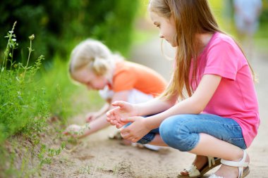 küçük kız babyfrogs yakalamak