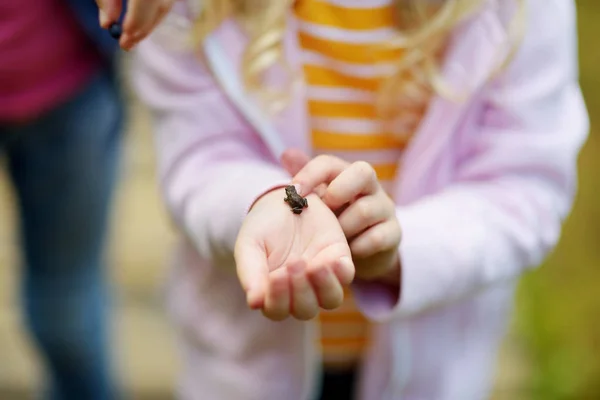 Девочка ловит маленьких лягушек — стоковое фото