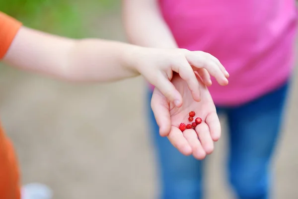 Manos de niños sosteniendo fresas silvestres frescas —  Fotos de Stock