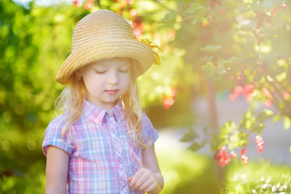 Schattig klein meisje plukken rode aalbessen — Stockfoto