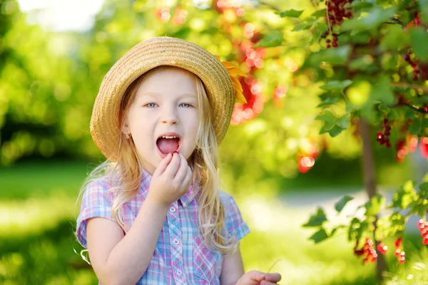 Schattig klein meisje plukken rode aalbessen — Stockfoto