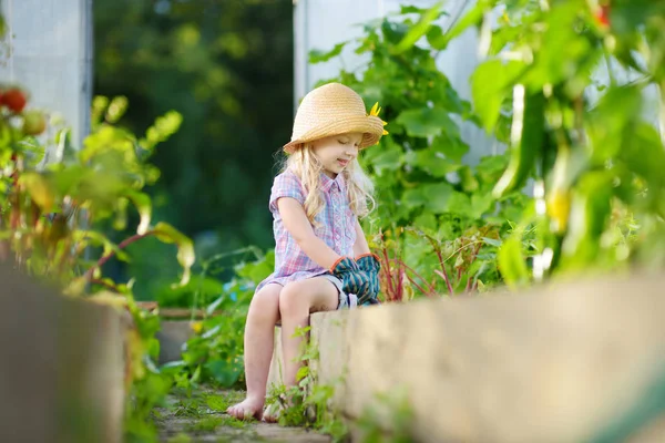 Flicka som leker i ett växthus — Stockfoto
