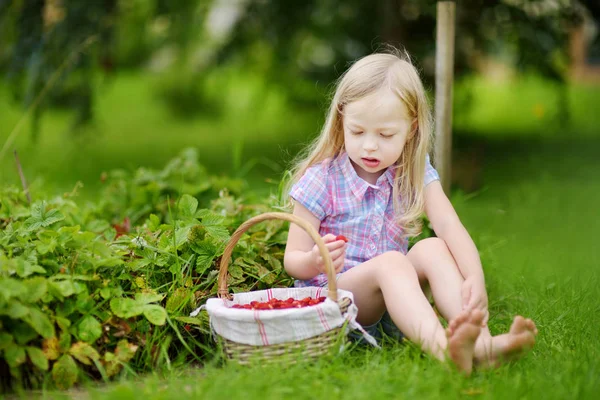 Little girl picking fresh wild strawberries — Stock Photo, Image