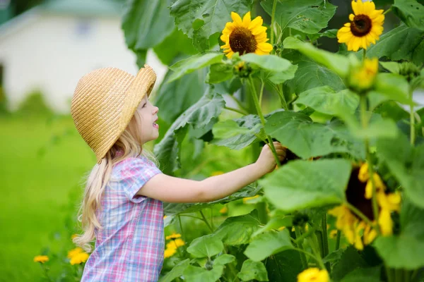 Roztomilá holčička k slunečnice — Stock fotografie