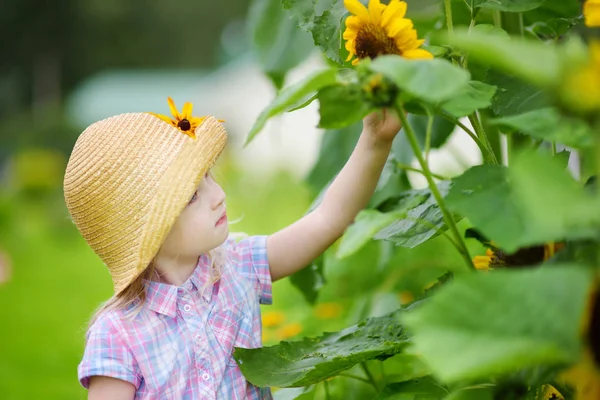 Mädchen greift nach einer Sonnenblume — Stockfoto