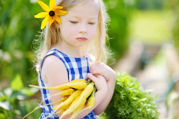 Ragazza che tiene un mazzo di carote gialle fresche — Foto Stock