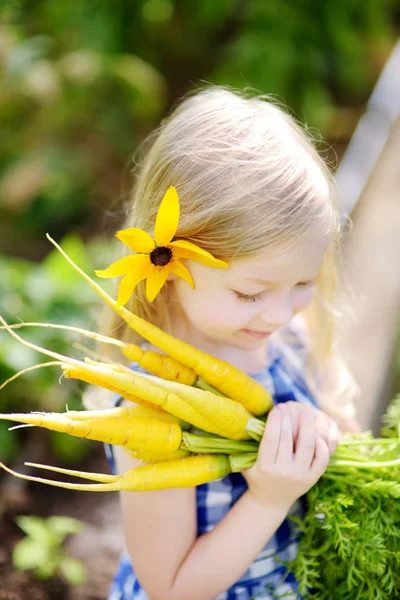 Chica sosteniendo un montón de zanahorias amarillas frescas — Foto de Stock