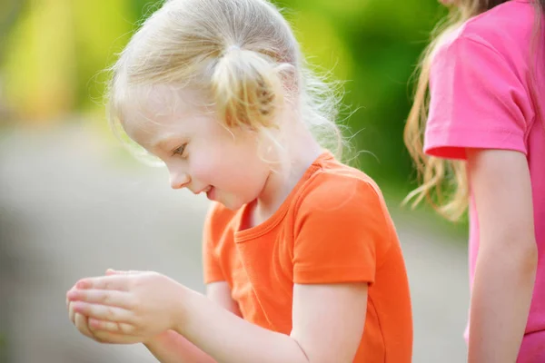 Liten flicka att fånga lite babyfrogs — Stockfoto