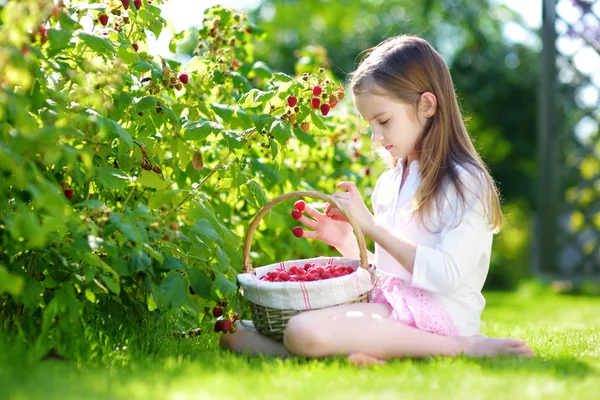 Girl at organic raspberry farm — Stock Photo, Image