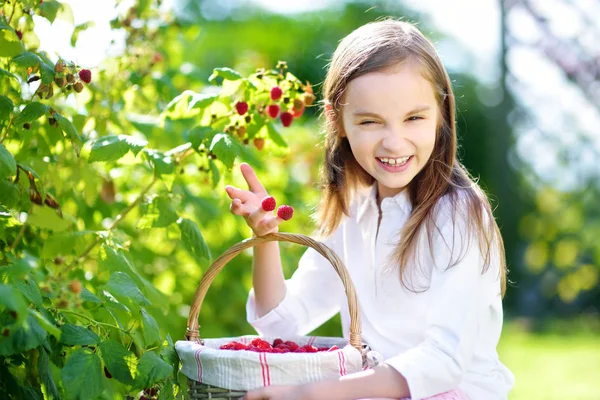 Meisje plukken verse bessen — Stockfoto