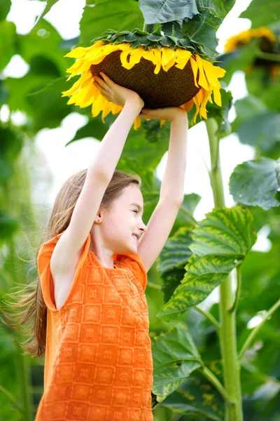 Ragazza che raggiunge per girasole — Foto Stock