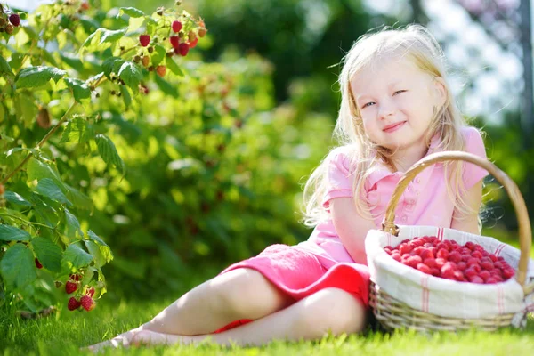 Girl at organic raspberry farm — Stock Photo, Image