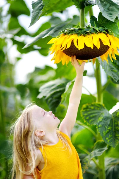 Chica alcanzando para girasol — Foto de Stock