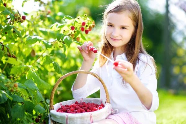 Mädchen pflückt frische Beeren — Stockfoto