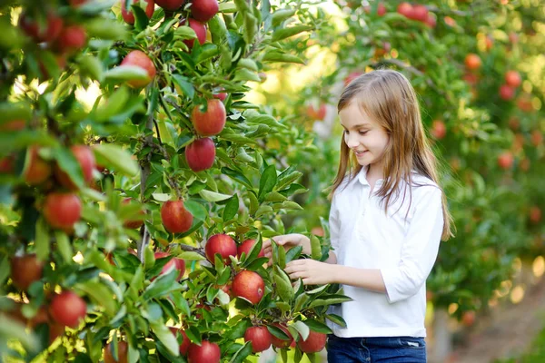 Chica recogiendo manzanas —  Fotos de Stock