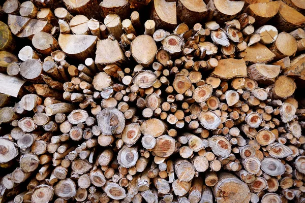 Getrocknete Brennholzstämme — Stockfoto