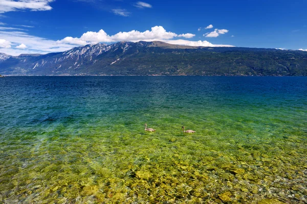 Brzegu pięknego jeziora Garda — Zdjęcie stockowe