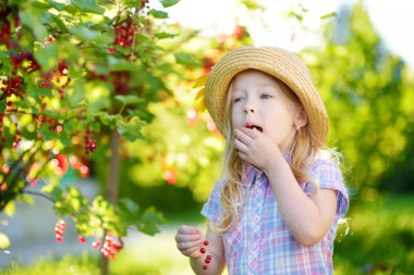 Kırmızı kuş üzümü yiyen kız
