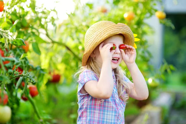 Meisje speelt met biologische tomaten — Stockfoto