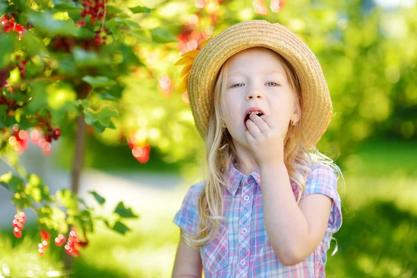 Menina comendo groselhas vermelhas — Fotografia de Stock