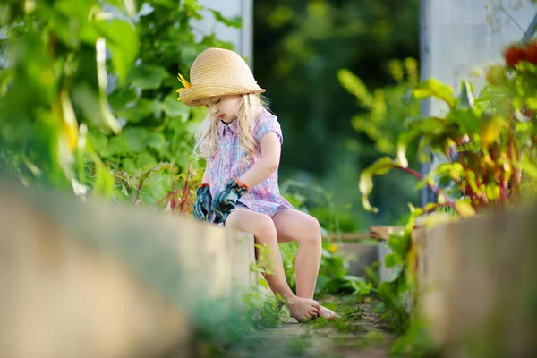 Девушка в садовых перчатках — стоковое фото