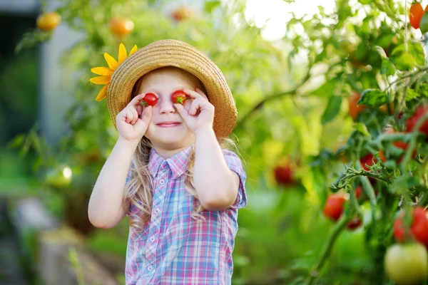 Meisje speelt met biologische tomaten — Stockfoto