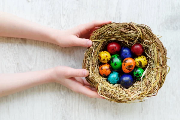 Nido di custodia per bambini con uova di Pasqua — Foto Stock