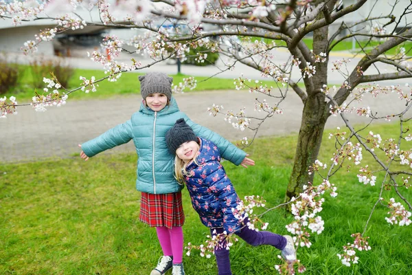 Сестры веселятся в цветущем саду — стоковое фото