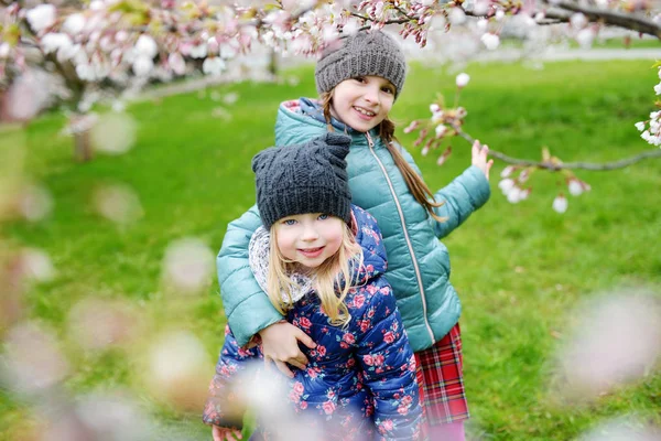 Sisters having fun in blooming garden — Stock Photo, Image