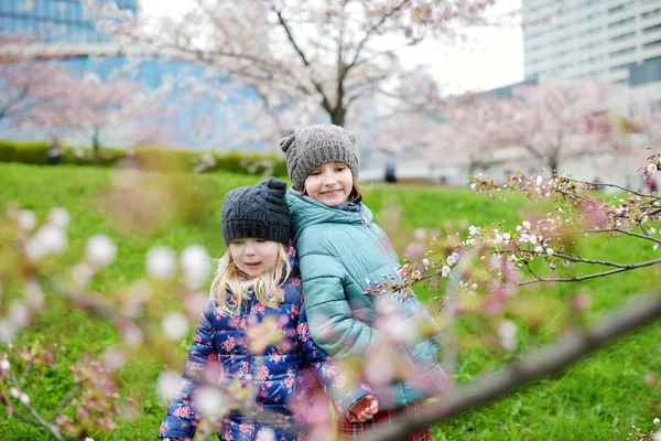 Sœurs s'amuser dans le jardin fleuri — Photo