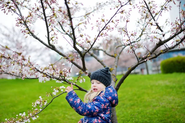 Liten flicka ha kul i blommande trädgård — Stockfoto