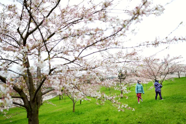 Irmãs se divertindo no jardim florescendo — Fotografia de Stock