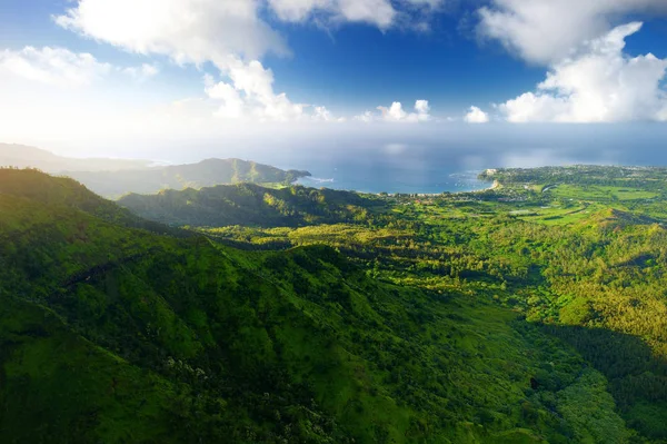 Vue pittoresque de jungles spectaculaires — Photo