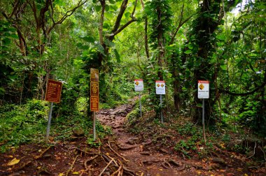 Trailhead of famous Kalalau trail  clipart