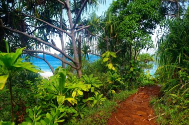  Kalalau trail along Na Pali coast clipart