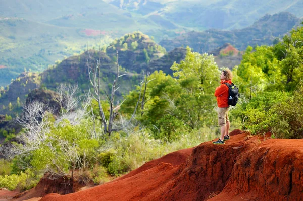 Turist njuter utsikt över Waimea Canyon — Stockfoto