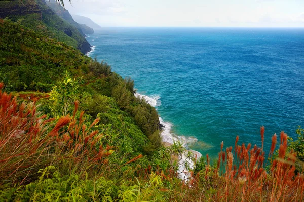 Kalalau stezka podél pobřeží Na Pali — Stock fotografie