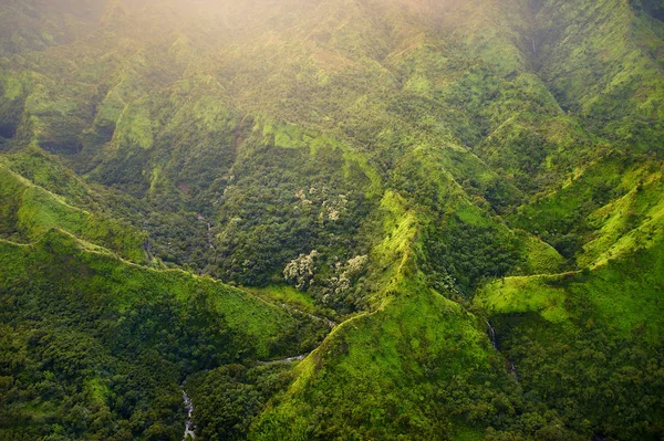 Vedere pitorească a junglelor spectaculoase — Fotografie, imagine de stoc