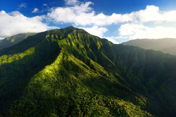 Picturesque view of spectacular jungles — Stock Photo, Image