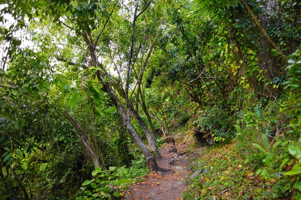 Kalalau weg entlang der na pali küste — Stockfoto